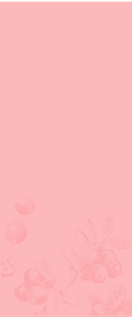 Banner Mobile