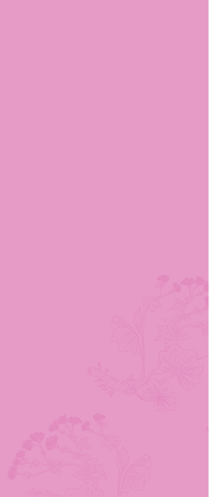 Banner Mobile