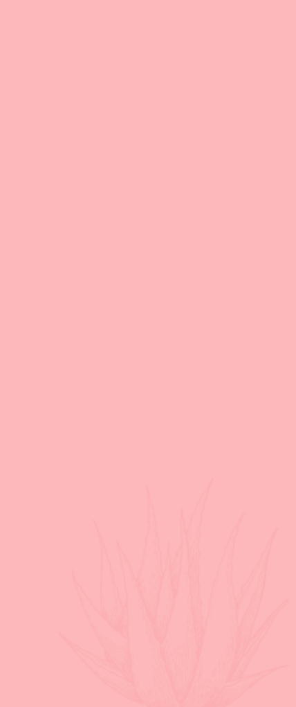 Banner Mobile