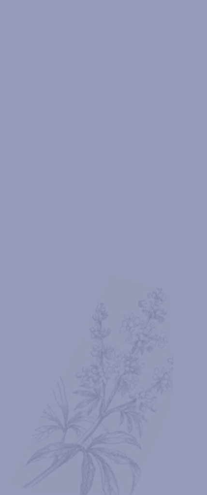 Banner Mobile