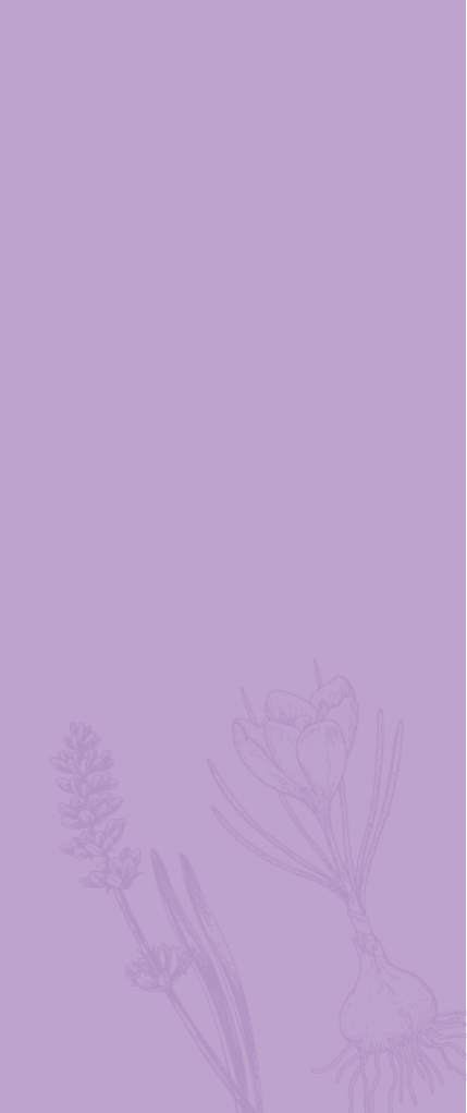 Banner Mobile