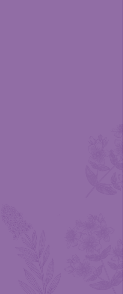 Banner Mobile