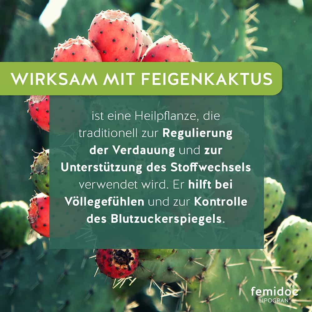 LIPOGRAN® 1051 mg - femidoc®