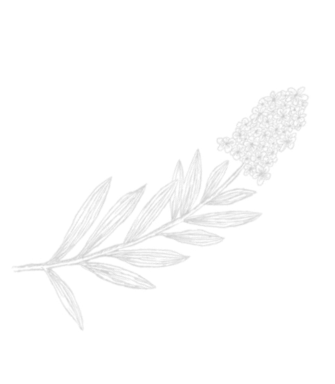 Image Left