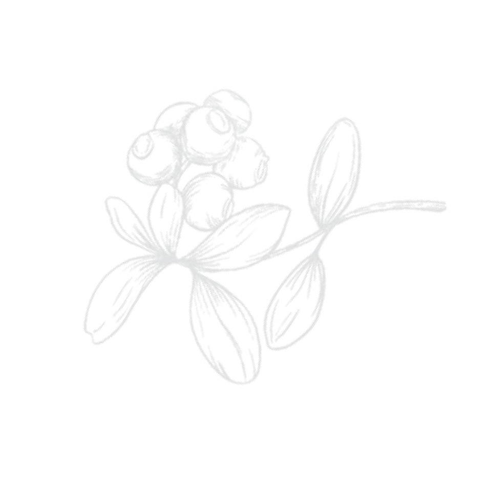Image Left