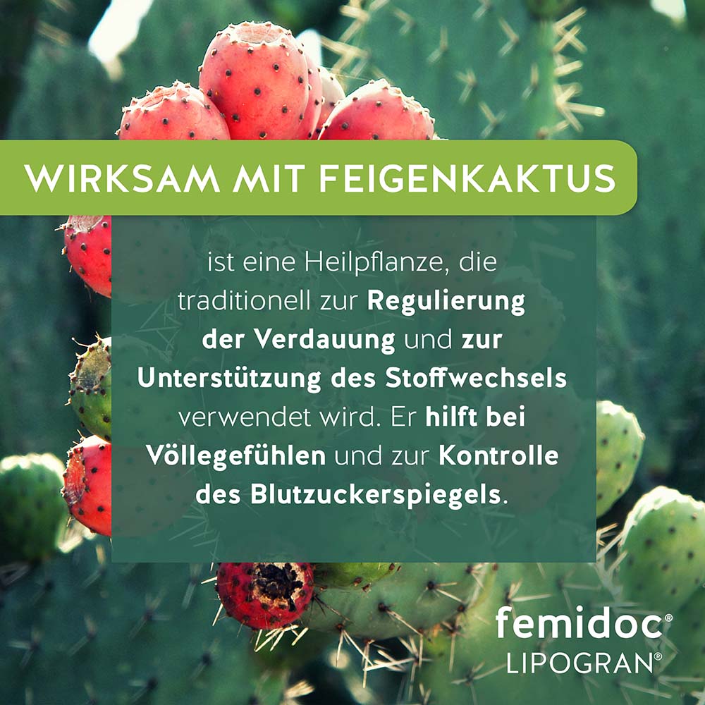 LIPOGRAN® 1051 mg mit Feigenkaktus - femidoc®