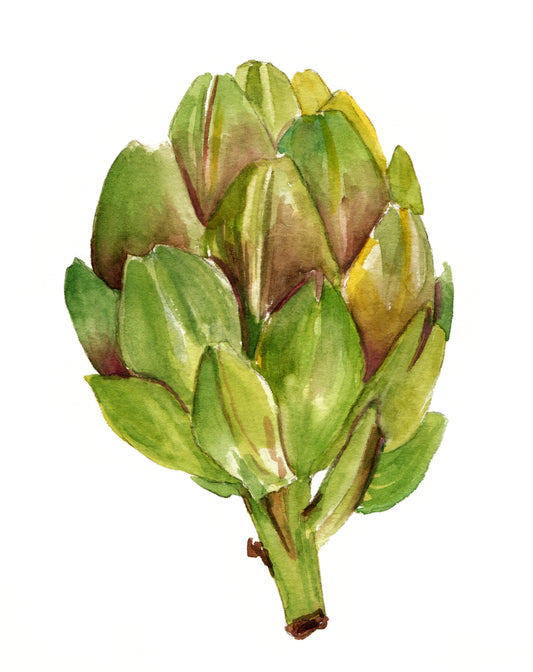 Artischocke
