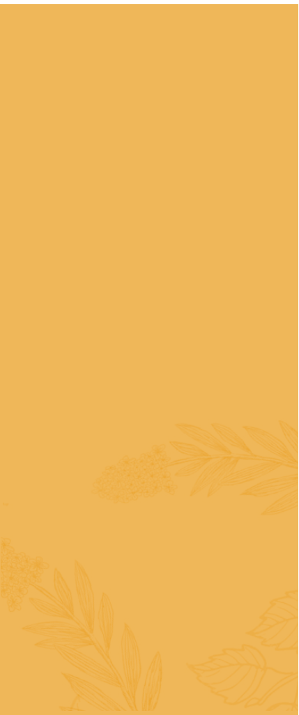 Banner Mobile