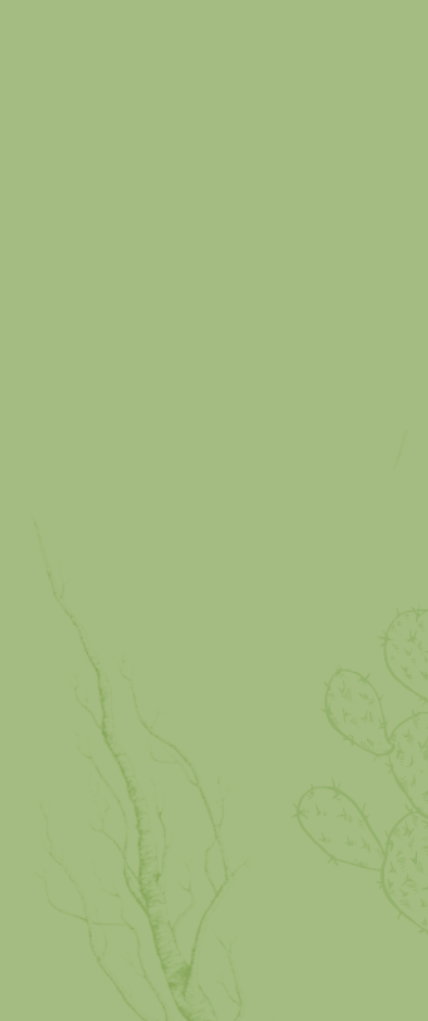 Banner Mobile