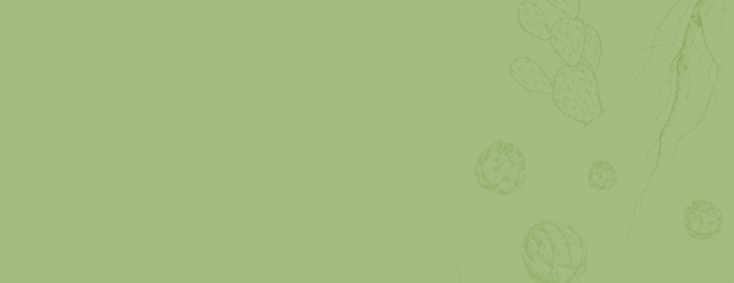 Banner Custom