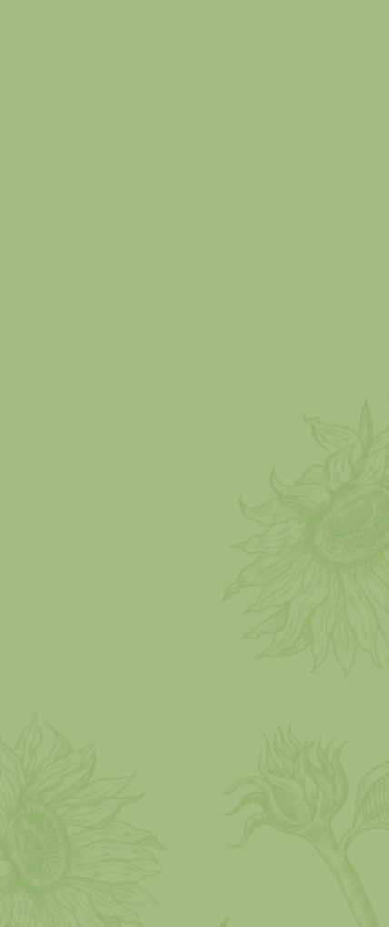 Banner Mobile