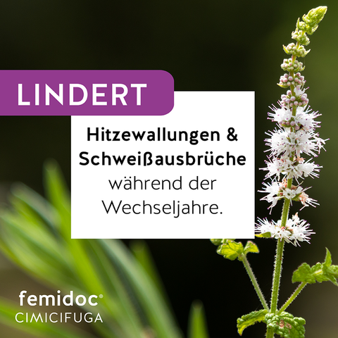 CIMICIFUGA 13 mg lindert Symptome in den Wechseljahren - femidoc®