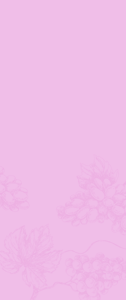 Banner Mobile